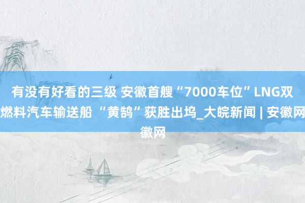 有没有好看的三级 安徽首艘“7000车位”LNG双燃料汽车输送船 “黄鹄”获胜出坞_大皖新闻 | 安徽网