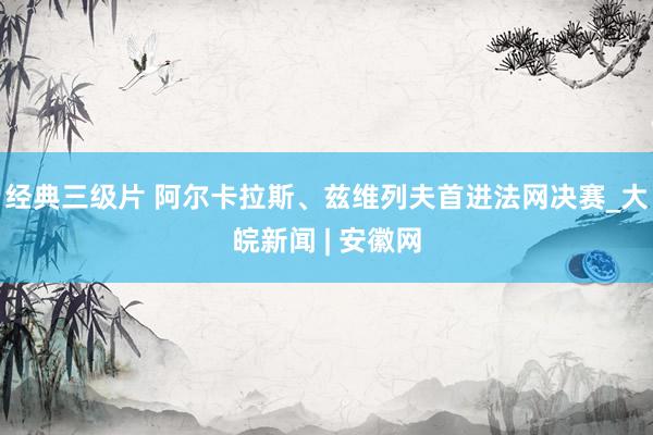 经典三级片 阿尔卡拉斯、兹维列夫首进法网决赛_大皖新闻 | 安徽网