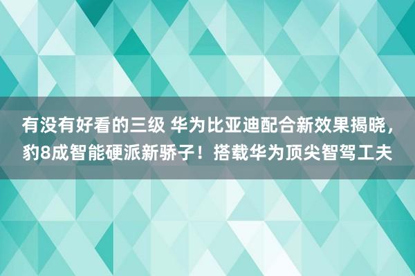 有没有好看的三级 华为比亚迪配合新效果揭晓，豹8成智能硬派新骄子！搭载华为顶尖智驾工夫