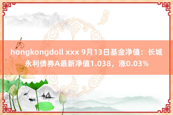 hongkongdoll xxx 9月13日基金净值：长城永利债券A最新净值1.038，涨0.03%