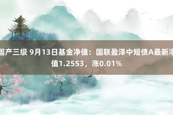 国产三级 9月13日基金净值：国联盈泽中短债A最新净值1.2553，涨0.01%