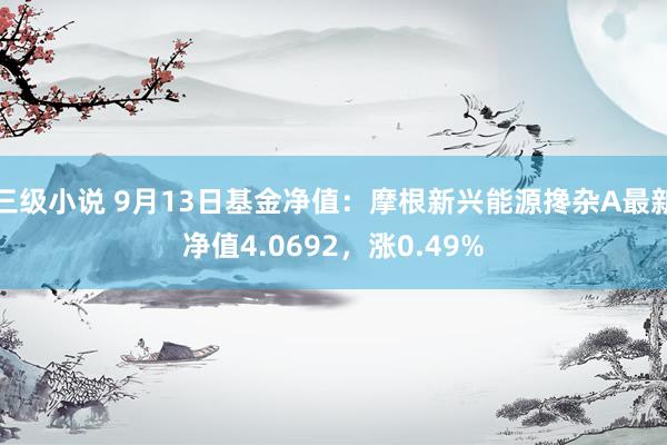 三级小说 9月13日基金净值：摩根新兴能源搀杂A最新净值4.0692，涨0.49%