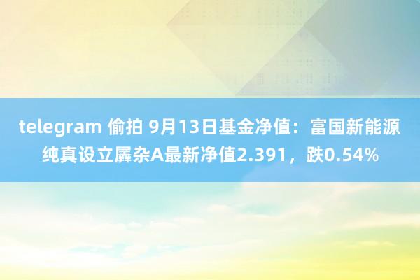 telegram 偷拍 9月13日基金净值：富国新能源纯真设立羼杂A最新净值2.391，跌0.54%