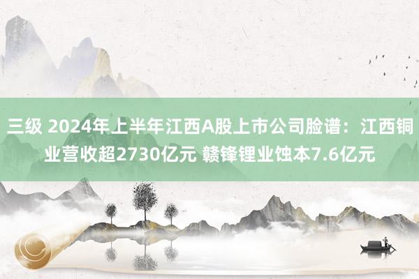 三级 2024年上半年江西A股上市公司脸谱：江西铜业营收超2730亿元 赣锋锂业蚀本7.6亿元