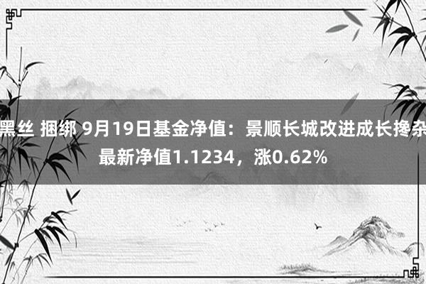 黑丝 捆绑 9月19日基金净值：景顺长城改进成长搀杂最新净值1.1234，涨0.62%