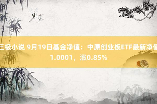 三级小说 9月19日基金净值：中原创业板ETF最新净值1.0001，涨0.85%