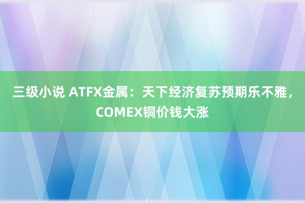 三级小说 ATFX金属：天下经济复苏预期乐不雅，COMEX铜价钱大涨