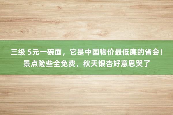 三级 5元一碗面，它是中国物价最低廉的省会！景点险些全免费，秋天银杏好意思哭了