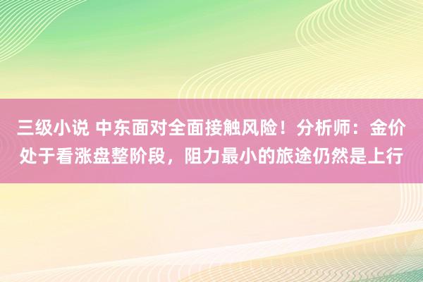 三级小说 中东面对全面接触风险！分析师：金价处于看涨盘整阶段，阻力最小的旅途仍然是上行