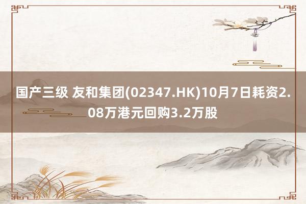 国产三级 友和集团(02347.HK)10月7日耗资2.08万港元回购3.2万股