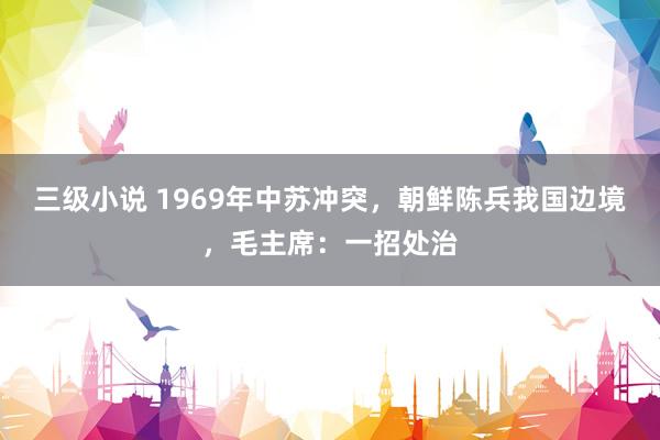 三级小说 1969年中苏冲突，朝鲜陈兵我国边境，毛主席：一招处治