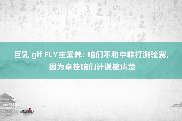 巨乳 gif FLY主素养: 咱们不和中韩打测验赛， 因为牵挂咱们计谋被清楚