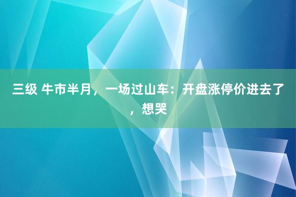 三级 牛市半月，一场过山车：开盘涨停价进去了，想哭