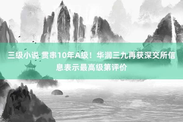 三级小说 贯串10年A级！华润三九再获深交所信息表示最高级第评价