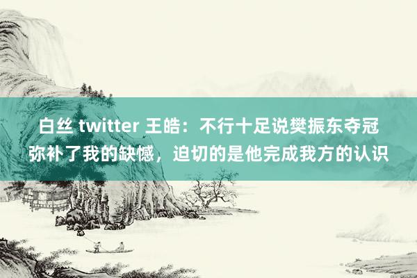 白丝 twitter 王皓：不行十足说樊振东夺冠弥补了我的缺憾，迫切的是他完成我方的认识