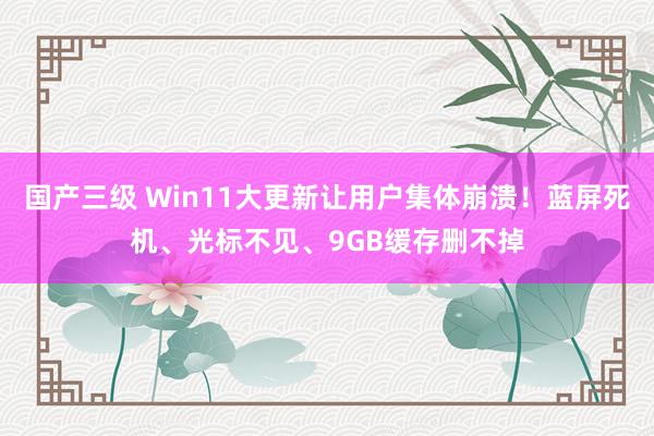 国产三级 Win11大更新让用户集体崩溃！蓝屏死机、光标不见、9GB缓存删不掉