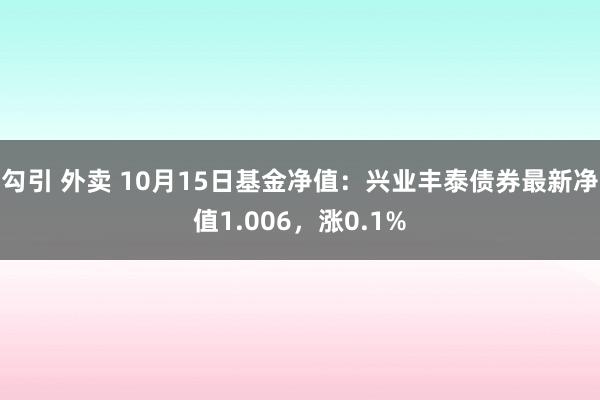 勾引 外卖 10月15日基金净值：兴业丰泰债券最新净值1.006，涨0.1%