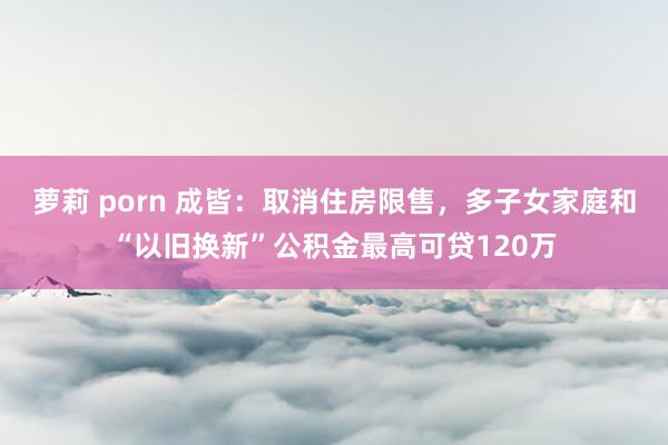 萝莉 porn 成皆：取消住房限售，多子女家庭和“以旧换新”公积金最高可贷120万