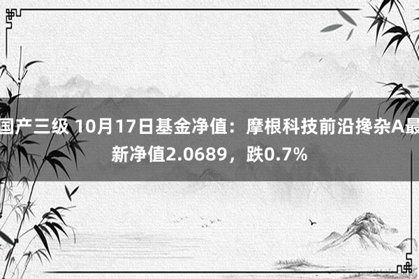 国产三级 10月17日基金净值：摩根科技前沿搀杂A最新净值2.0689，跌0.7%