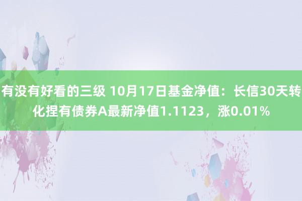 有没有好看的三级 10月17日基金净值：长信30天转化捏有债券A最新净值1.1123，涨0.01%