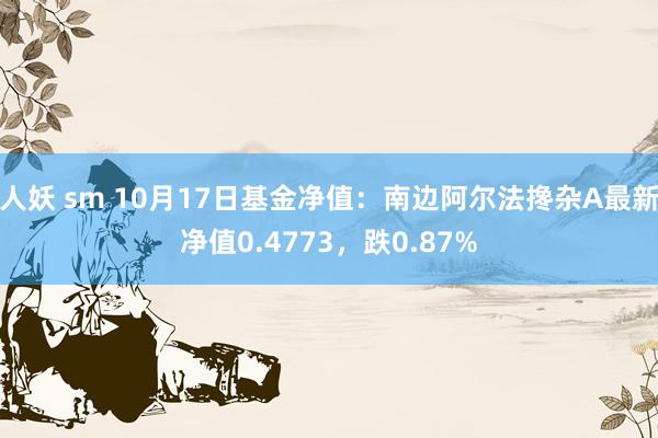 人妖 sm 10月17日基金净值：南边阿尔法搀杂A最新净值0.4773，跌0.87%