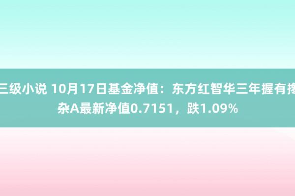 三级小说 10月17日基金净值：东方红智华三年握有搀杂A最新净值0.7151，跌1.09%