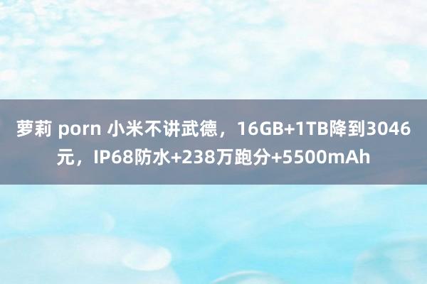 萝莉 porn 小米不讲武德，16GB+1TB降到3046元，IP68防水+238万跑分+5500mAh