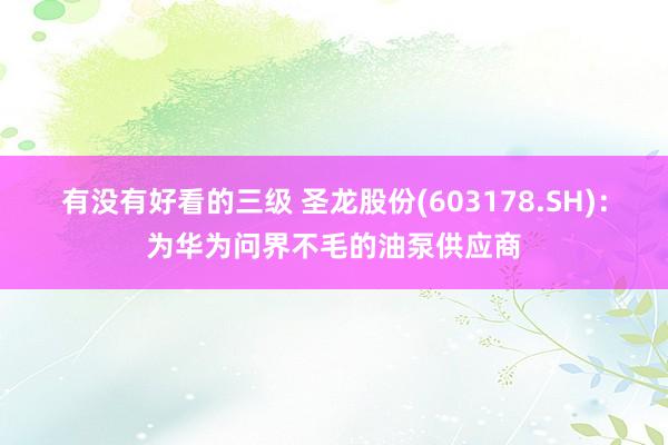 有没有好看的三级 圣龙股份(603178.SH)：为华为问界不毛的油泵供应商