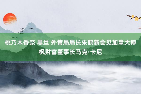 桃乃木香奈 黑丝 外管局局长朱鹤新会见加拿大博枫财富董事长马克·卡尼