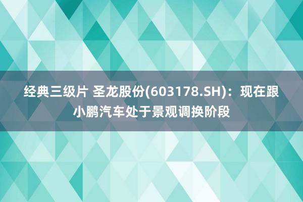 经典三级片 圣龙股份(603178.SH)：现在跟小鹏汽车处于景观调换阶段