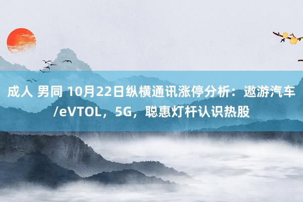 成人 男同 10月22日纵横通讯涨停分析：遨游汽车/eVTOL，5G，聪惠灯杆认识热股