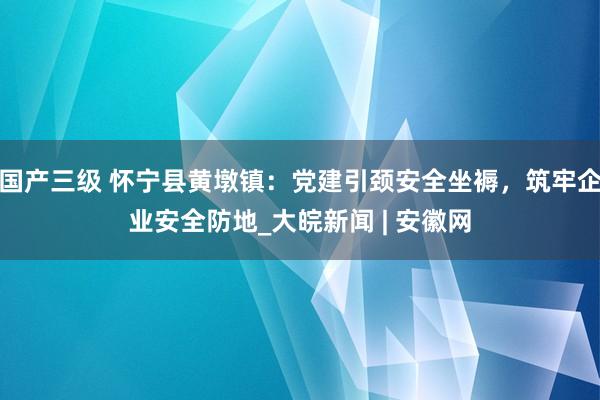 国产三级 怀宁县黄墩镇：党建引颈安全坐褥，筑牢企业安全防地_大皖新闻 | 安徽网