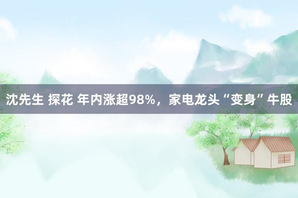 沈先生 探花 年内涨超98%，家电龙头“变身”牛股