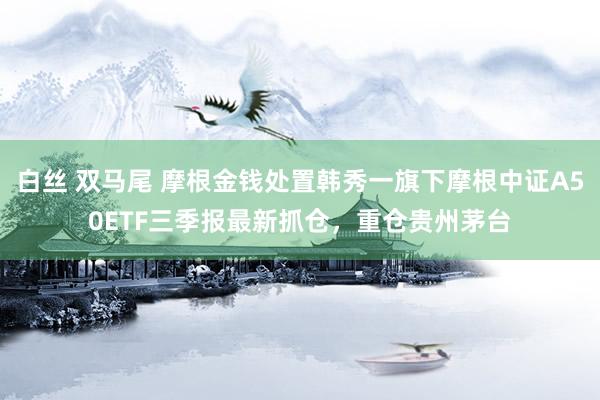 白丝 双马尾 摩根金钱处置韩秀一旗下摩根中证A50ETF三季报最新抓仓，重仓贵州茅台