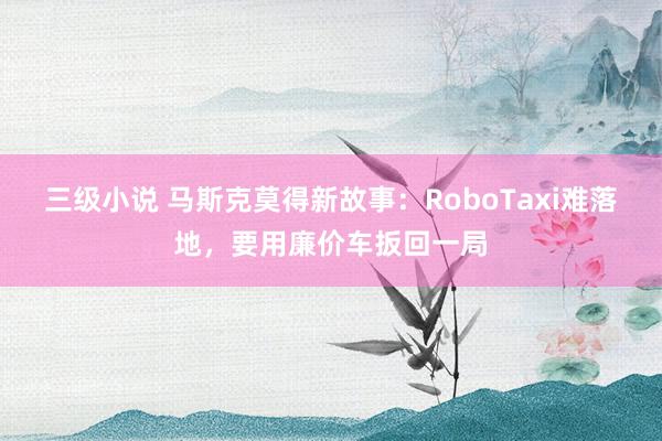 三级小说 马斯克莫得新故事：RoboTaxi难落地，要用廉价车扳回一局