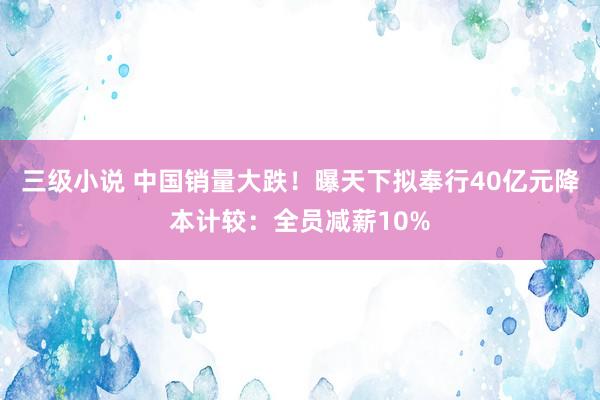 三级小说 中国销量大跌！曝天下拟奉行40亿元降本计较：全员减薪10%