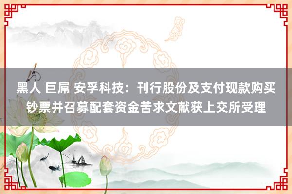 黑人 巨屌 安孚科技：刊行股份及支付现款购买钞票并召募配套资金苦求文献获上交所受理