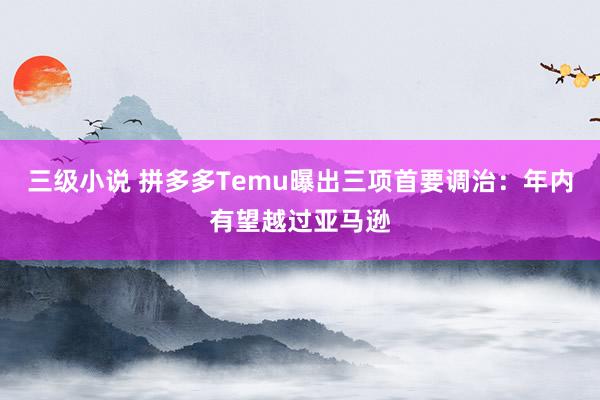 三级小说 拼多多Temu曝出三项首要调治：年内有望越过亚马逊