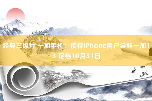 经典三级片 一加手机：接待iPhone用户尝鲜一加13 定档10月31日