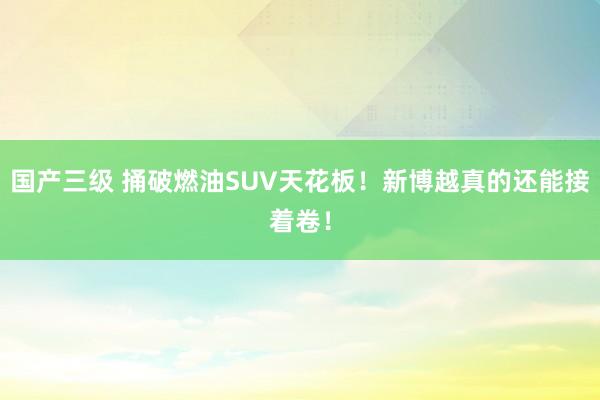 国产三级 捅破燃油SUV天花板！新博越真的还能接着卷！