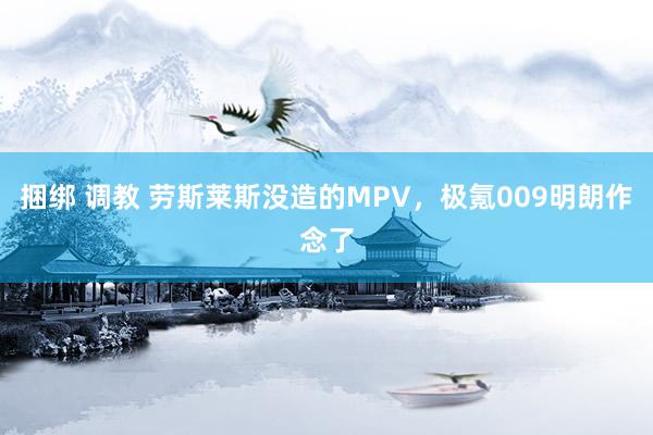 捆绑 调教 劳斯莱斯没造的MPV，极氪009明朗作念了