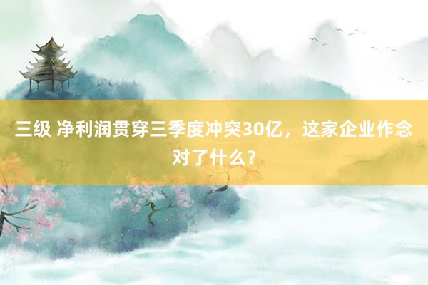 三级 净利润贯穿三季度冲突30亿，这家企业作念对了什么？