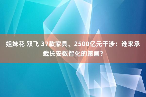 姐妹花 双飞 37款家具、2500亿元干涉：谁来承载长安数智化的策画？