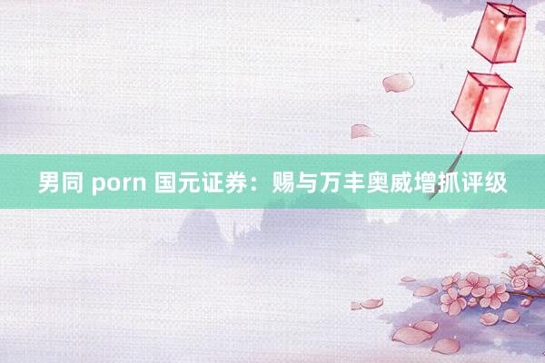 男同 porn 国元证券：赐与万丰奥威增抓评级