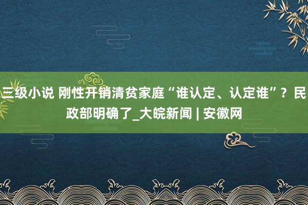 三级小说 刚性开销清贫家庭“谁认定、认定谁”？民政部明确了_大皖新闻 | 安徽网