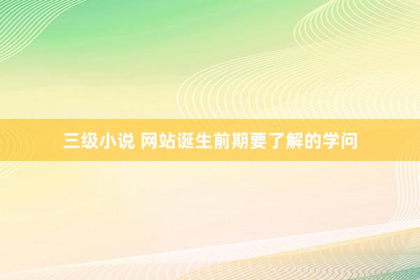 三级小说 网站诞生前期要了解的学问