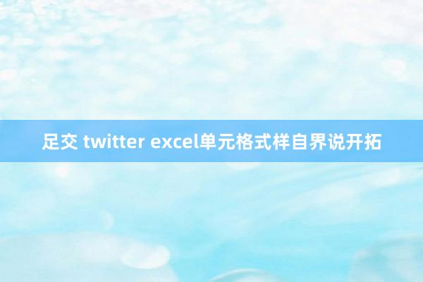 足交 twitter excel单元格式样自界说开拓