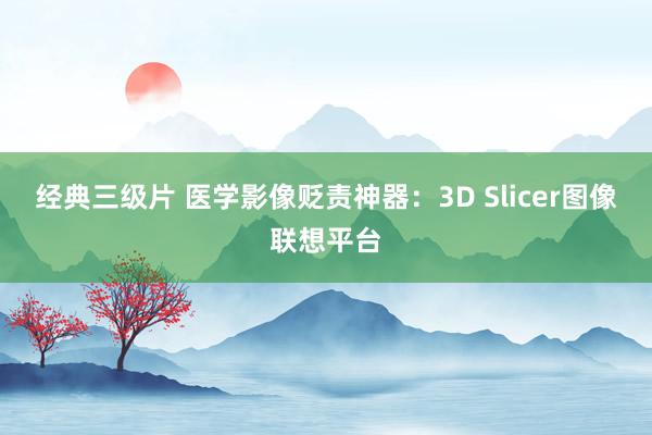 经典三级片 医学影像贬责神器：3D Slicer图像联想平台