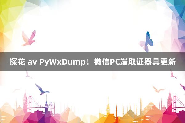 探花 av PyWxDump！微信PC端取证器具更新