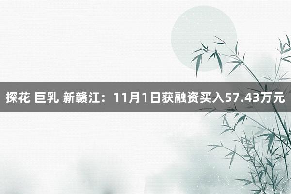 探花 巨乳 新赣江：11月1日获融资买入57.43万元